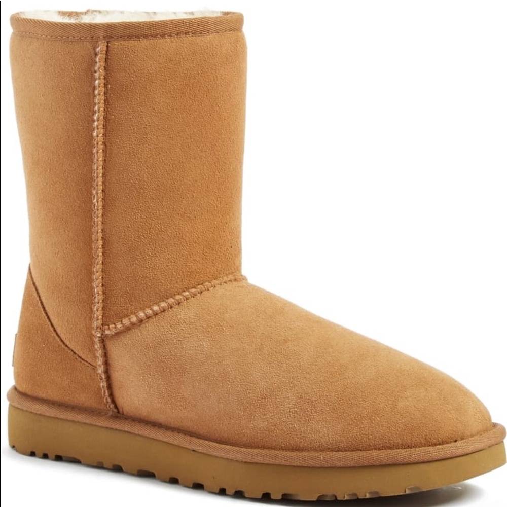 Chestnut Classic Short Ugg Boots